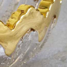 Close up - gold rimmed bowl